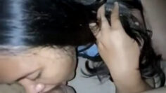 PEGAWAI APOTEKER Maniak Sotong